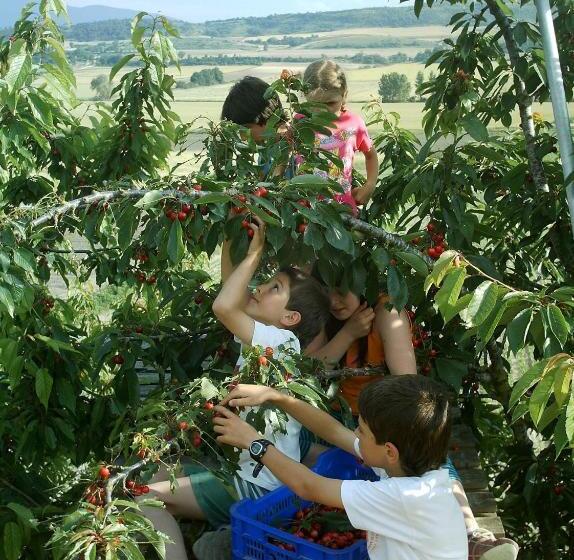 ペンション Agroturismo La Casa Vieja
