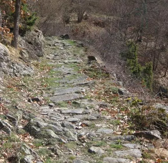 ペンション Casa Helipa