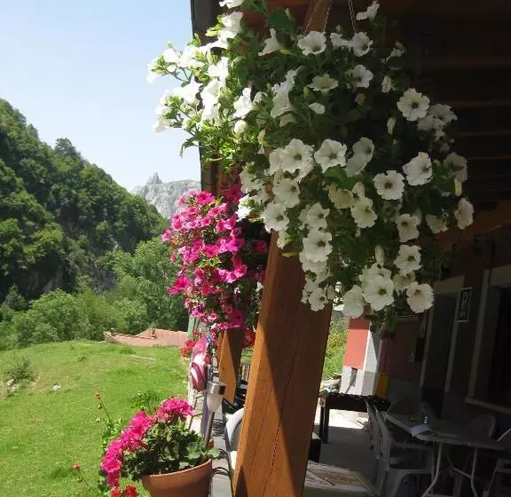 پانسیون Hostal El Duje