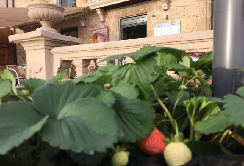 Retkeilymaja A Esmorgaposada Del Mar