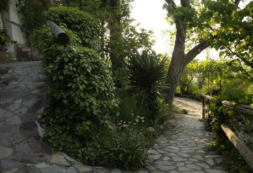 Apartamentos Arroyo Parrilla