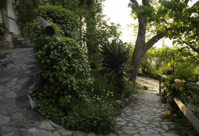 Apartamentos Arroyo Parrilla