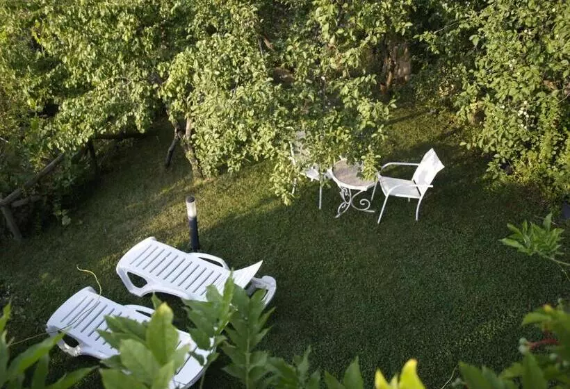 Apartamentos Arroyo Parrilla