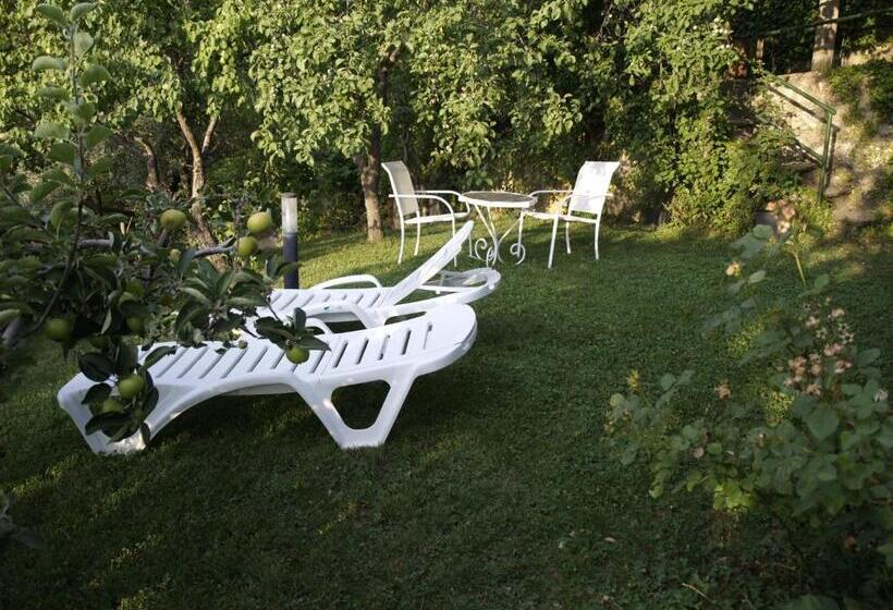 Apartamentos Arroyo Parrilla