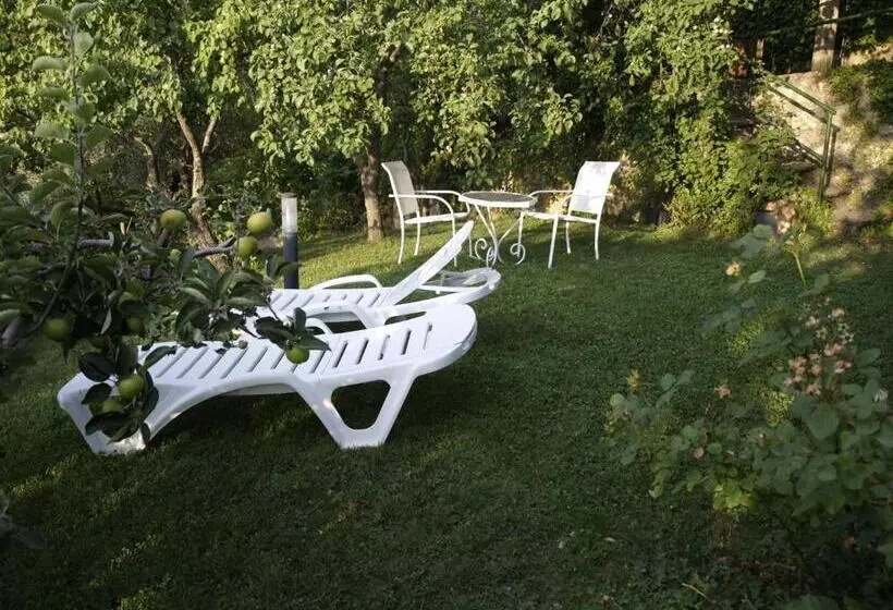 Apartamentos Arroyo Parrilla