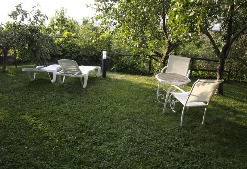 Apartamentos Arroyo Parrilla