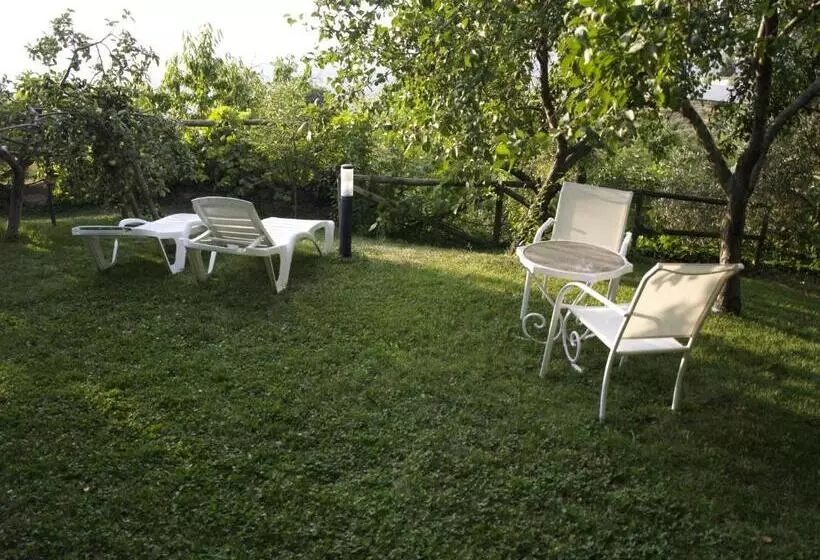 Apartamentos Arroyo Parrilla