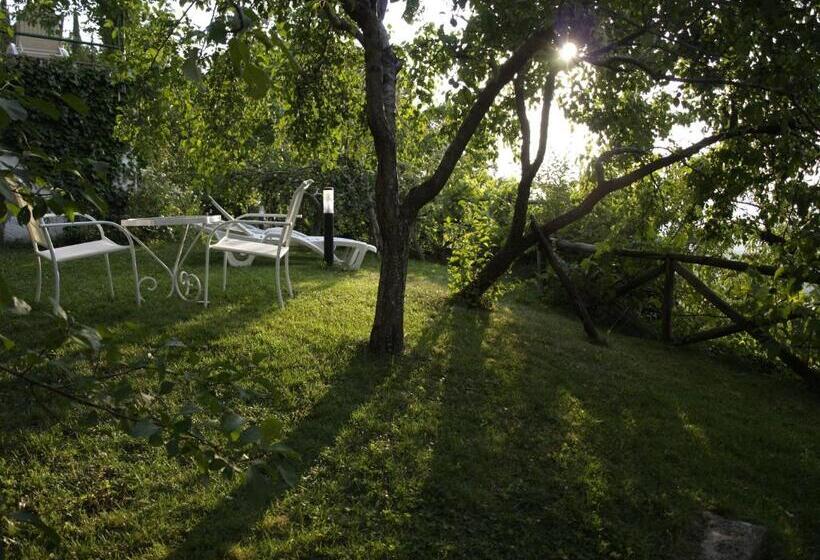 Apartamentos Arroyo Parrilla