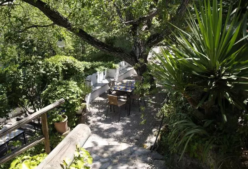 Apartamentos Arroyo Parrilla