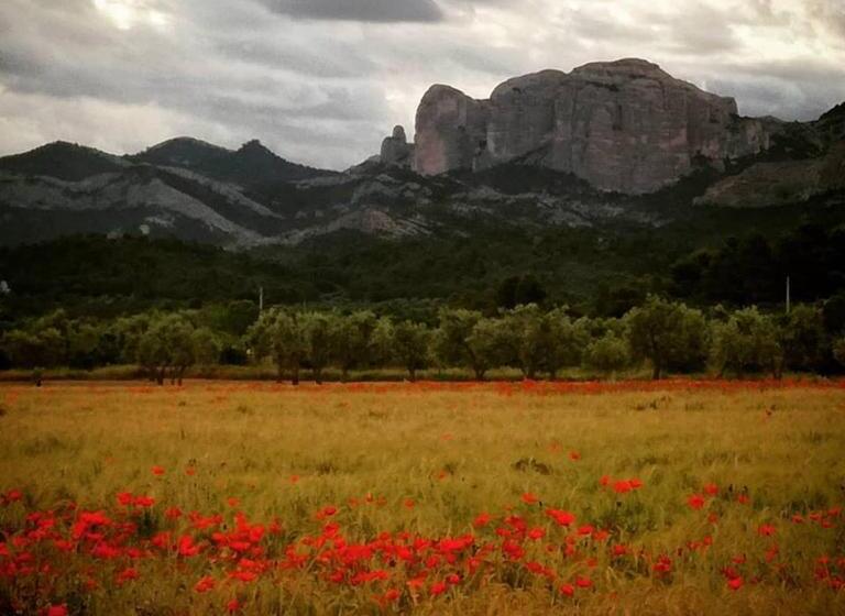 بنسيون Hostal Can Barrina