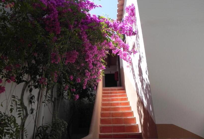 Viviendas Turísticas Vacacionales Allida