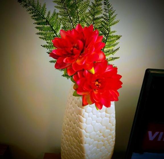 Casa Dos Avós Apartments