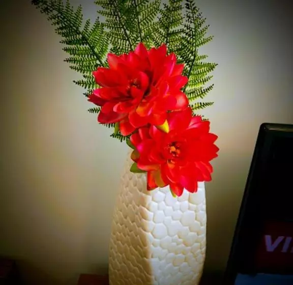 Casa Dos Avós Apartments