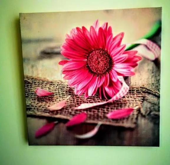 Casa Dos Avós Apartments