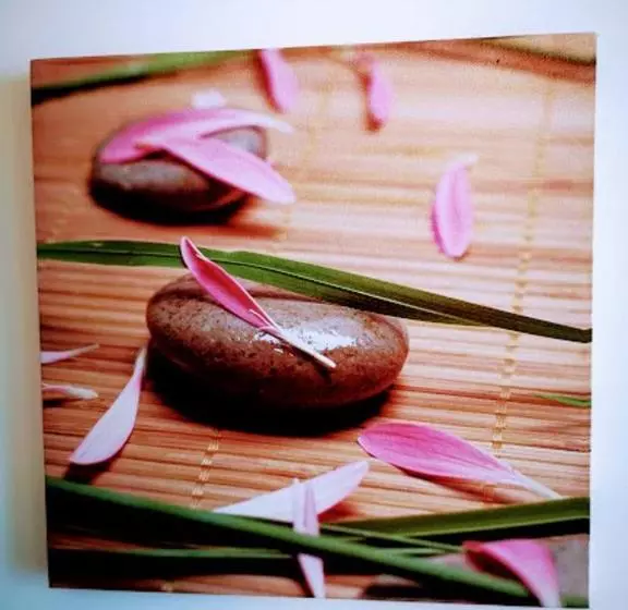 Casa Dos Avós Apartments