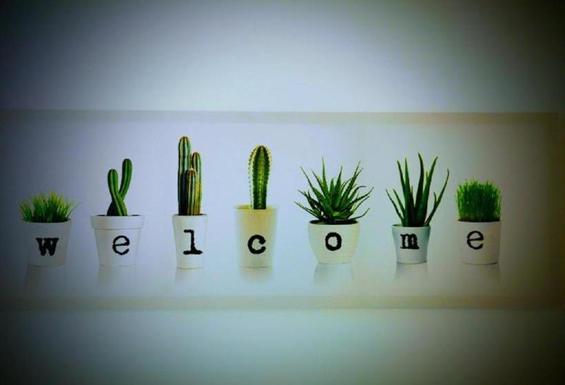 Casa Dos Avós Apartments