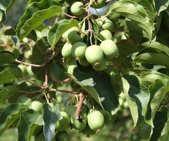 Hotelli Quinta Das Lavandeiras  Caldas De Vizela