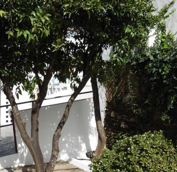 ペンション Alandroal Guest House,