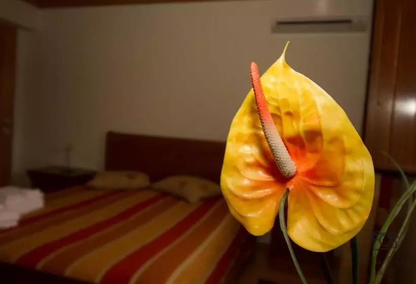 ペンション Casa Da Ribeirinha