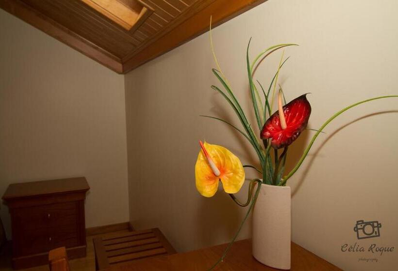 پانسیون Casa Da Ribeirinha