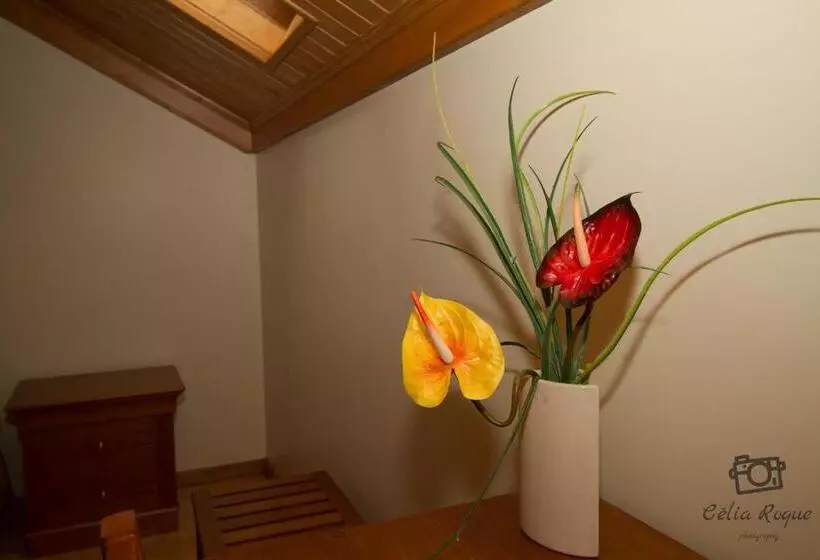 ペンション Casa Da Ribeirinha