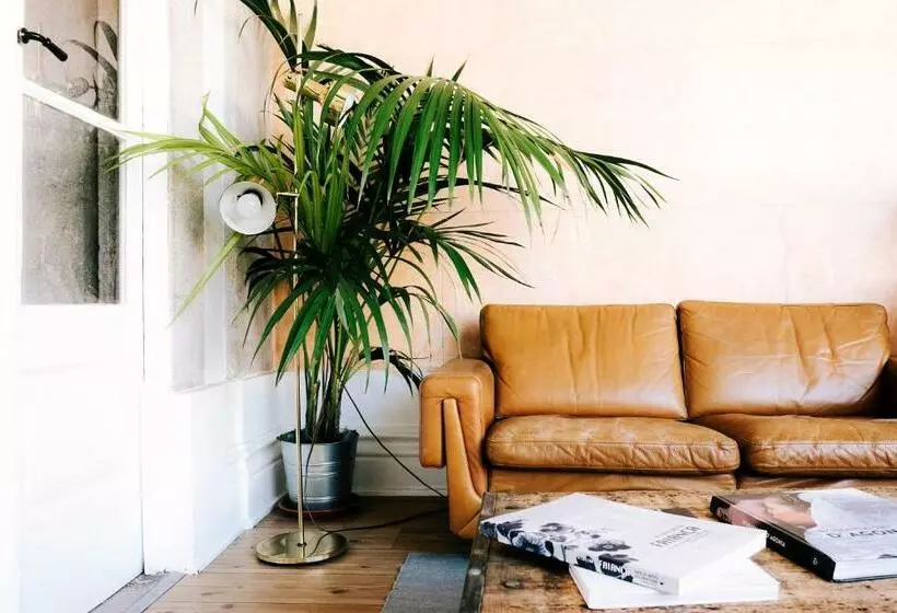 پانسیون Dona Emília Guest House & Studio Apartment Building