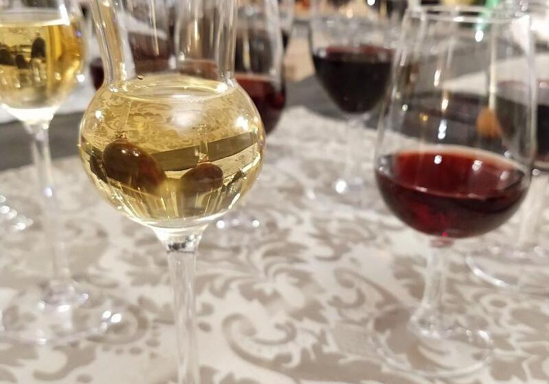 پانسیون Luxury Guest House Opus One