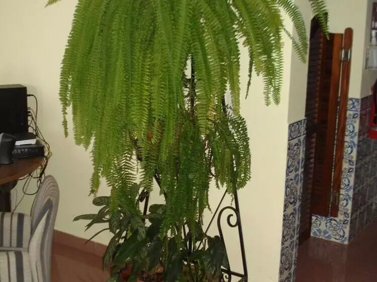 Majatalo Residencial Santo António