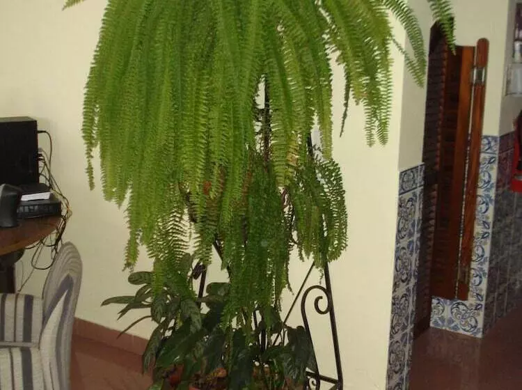 Majatalo Residencial Santo António