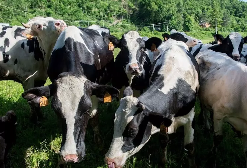 Hotelli La Cartiera Dei Benandanti