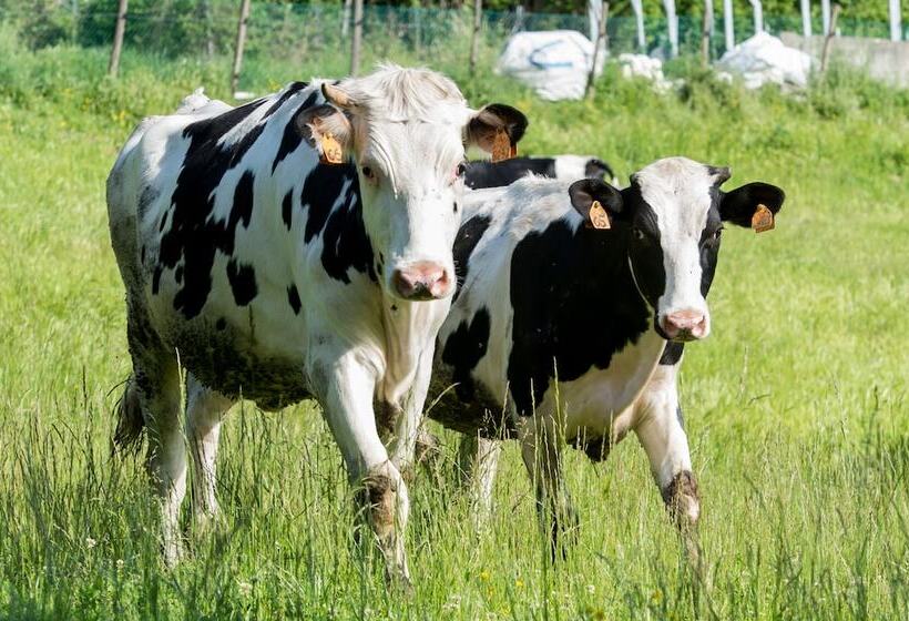 Отель La Cartiera Dei Benandanti