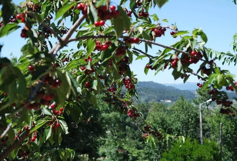 ホテル Quinta Do Alto