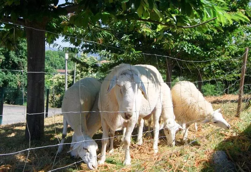 ホテル Quinta Do Alto