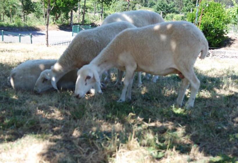 هتل Quinta Do Alto