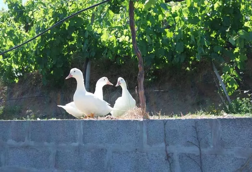 ホテル Quinta Do Alto