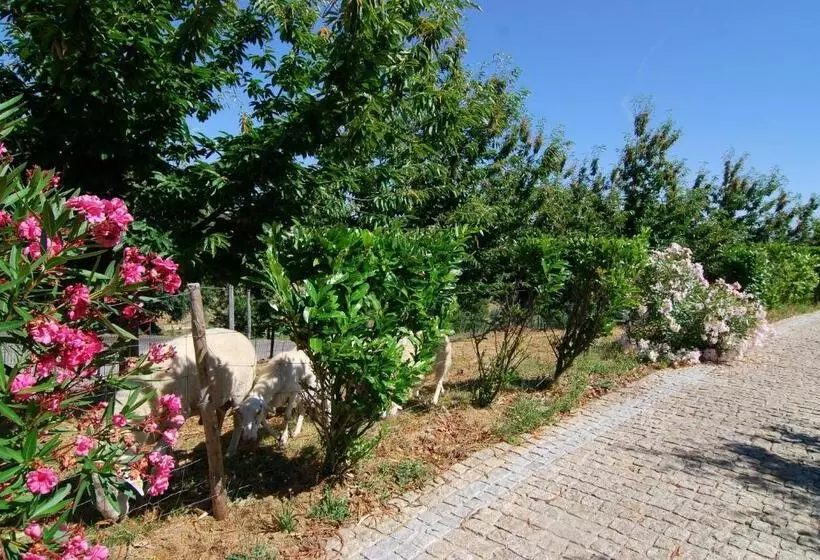 ホテル Quinta Do Alto
