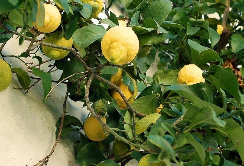 پانسیون Vintage Guest House Casa Do Escritor