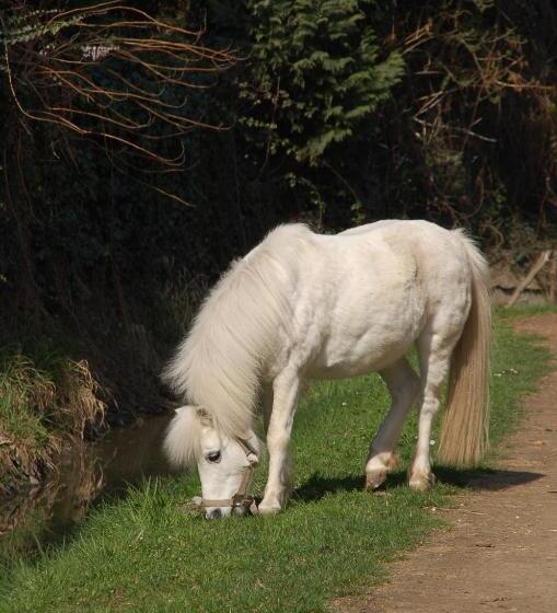 Отель Agriturismo Borgo San Francesco