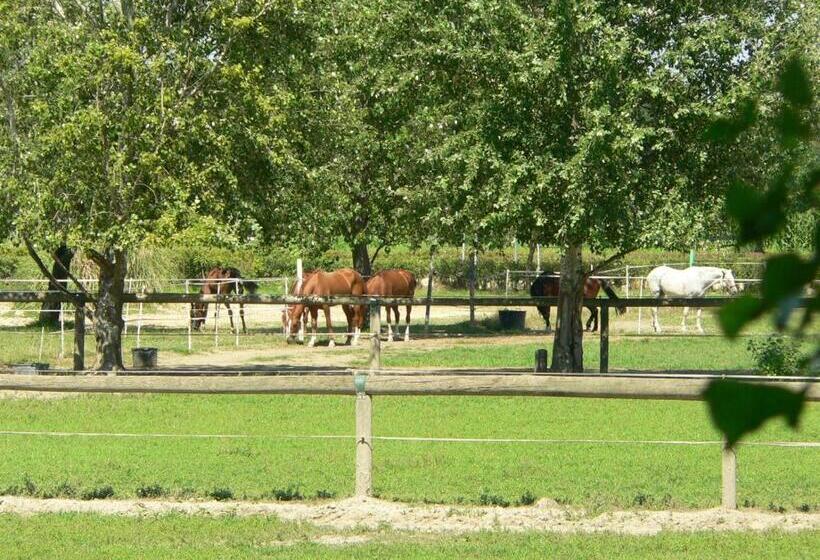 Отель Agriturismo Borgo San Francesco