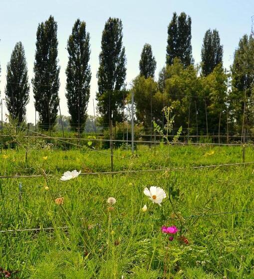 Отель Agriturismo Borgo San Francesco