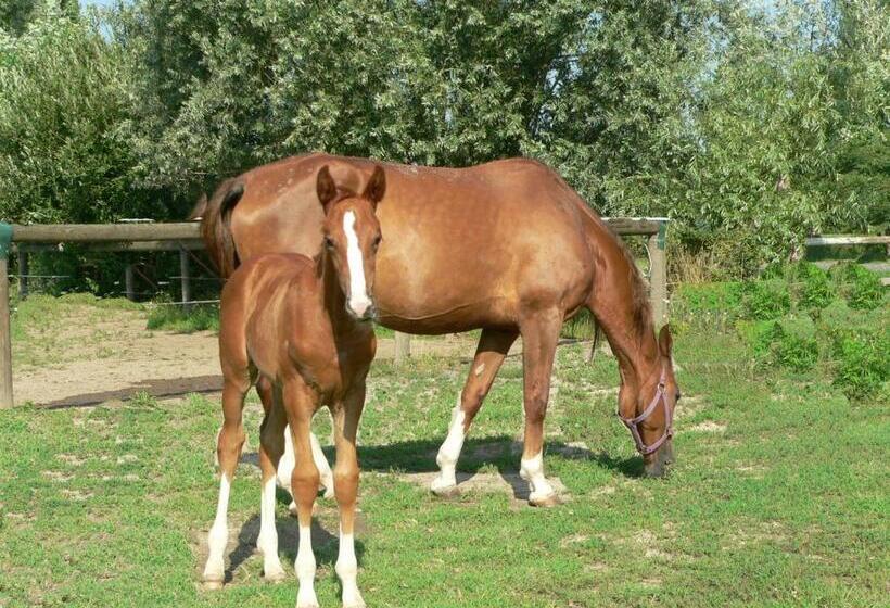 Отель Agriturismo Borgo San Francesco