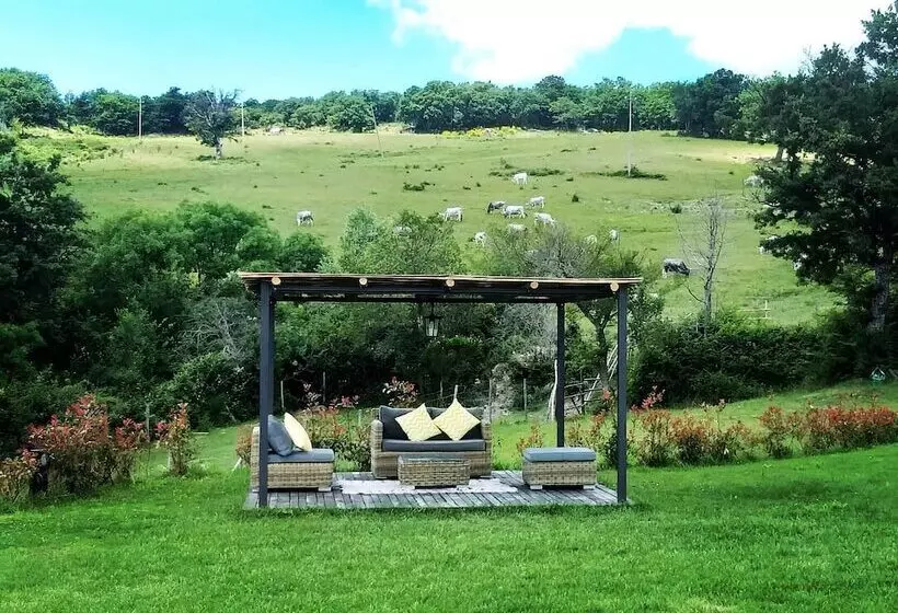 ホテル Terre Di Giorgio Agriturismo Villa La Palazzetta