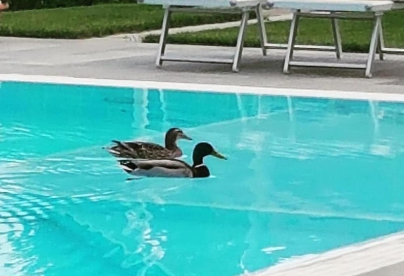 פנסיון Foresteria Villa Margherita