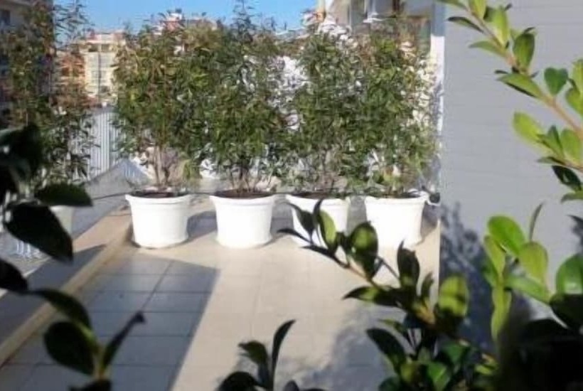 پانسیون Gatto Bianco Le Terrazze