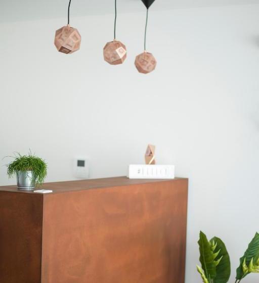 بنسيون La Maison Extravagante