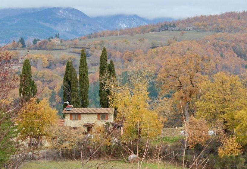 בית מלון כפרי Agriturismo Mandrioli