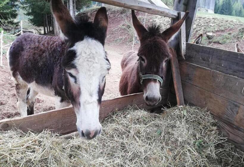 Hotel Agritur Le Vale