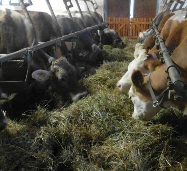 Hotel Agritur Le Vale