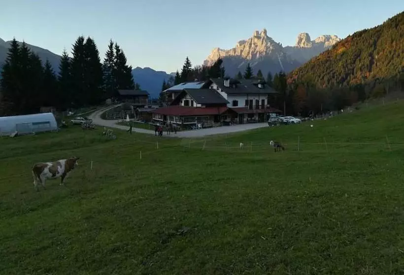 ホテル Agritur Le Vale