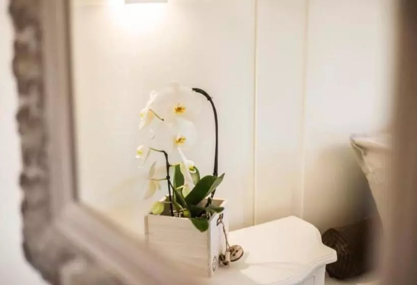 ペンション Riviera Carducci Rooms